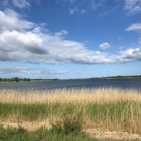 Strandgut Wackerballig Gelting Esterno foto