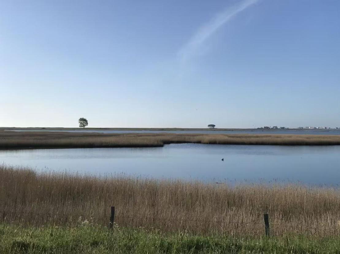 Strandgut Wackerballig Gelting Esterno foto